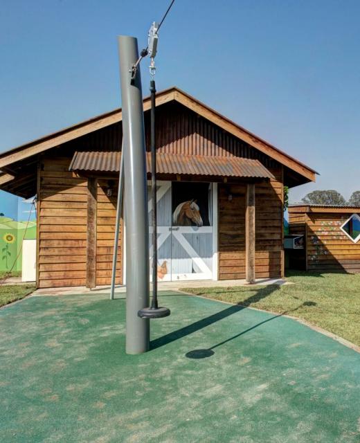 054 exploringtree HPP0400 preview