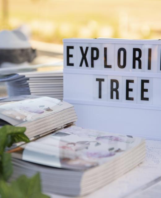 ExploringTree 011